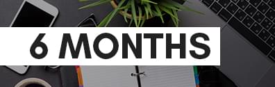 6 Months Plan